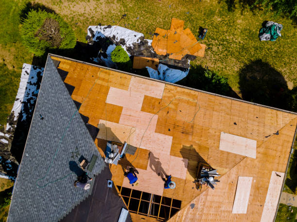 Quick and Trustworthy Emergency Roof Repair Services in Palmview South, TX