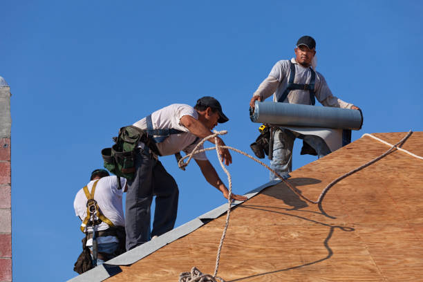Best Roof Gutter Cleaning  in Palmview South, TX
